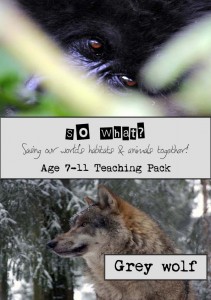 Grey Wolf