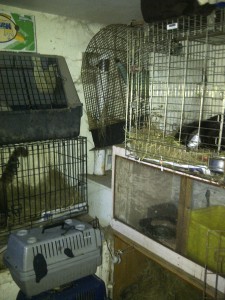 IMG-20121215-01756
