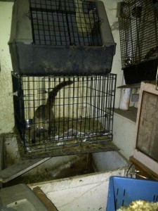 IMG-20121218-01782