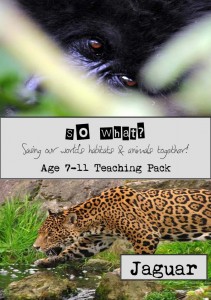 Jaguar