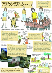 MZinfographic copy